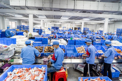 2000万袋螺蛳粉备战天猫双11 销售额暴增四倍与家用电器零配件销售热潮共舞